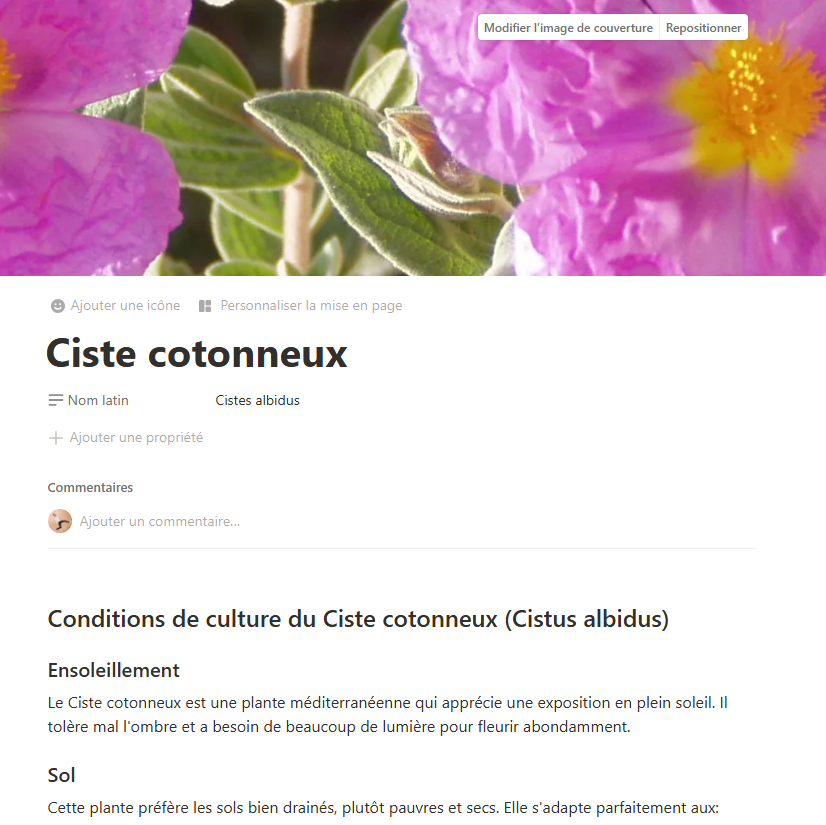 Notion une fiche Complete et modulable