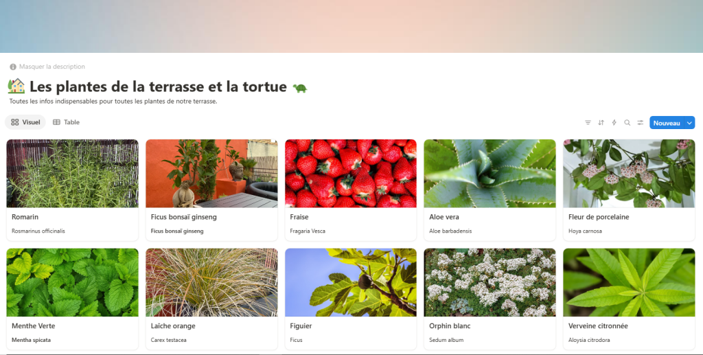 Notion un exemple de vue de vos base de donées